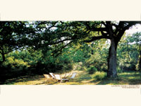 Tuscany vacation villa