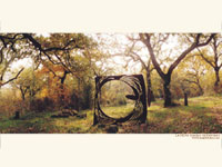 holiday villa in Tuscany