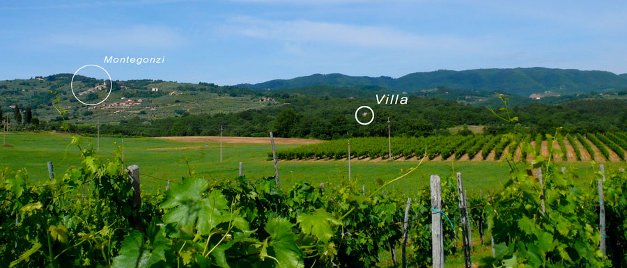 Panoramic view of La Selva Giardino del Belvedere